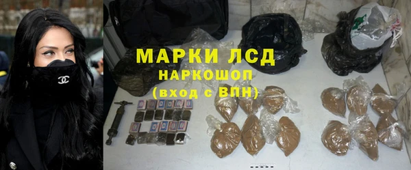 PSILOCYBIN Аркадак