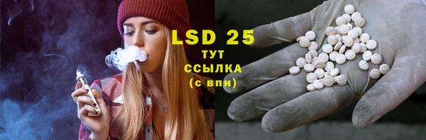 PSILOCYBIN Аркадак