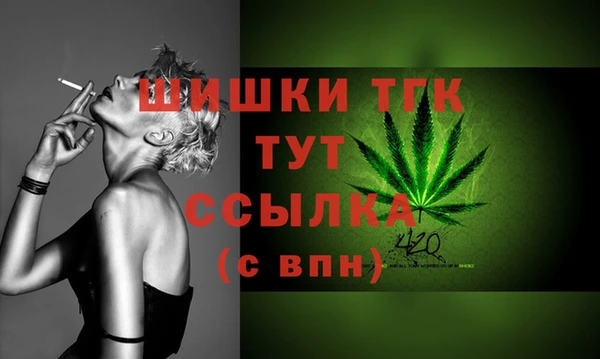 хмурый Арсеньев