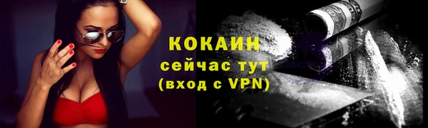 PSILOCYBIN Аркадак