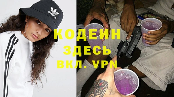 хмурый Арсеньев